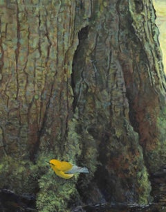 Spring - Prothonotary Warbler