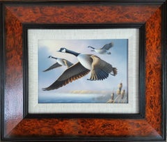 Canada Geese /// Contemporary Duck Bird Wildlife Ornithology Painting Animal Art