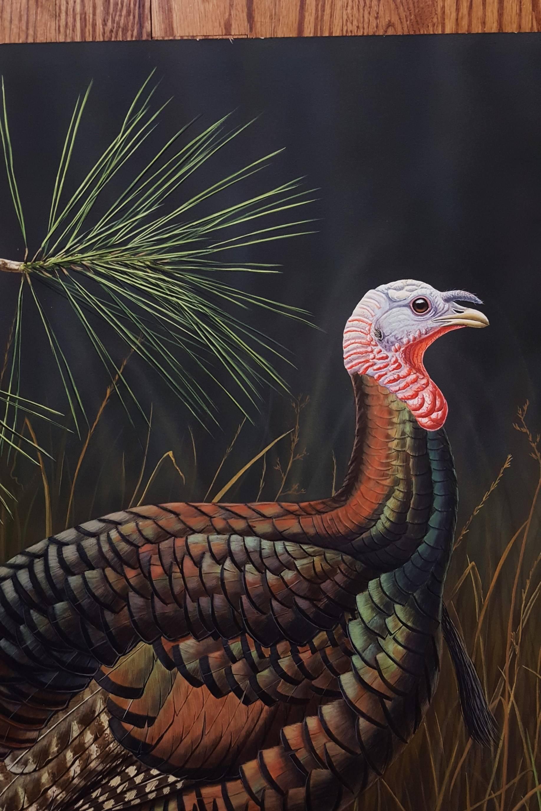 wild turkey paintings