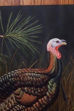Eastern Wild Turkey /// Ornithology Bird Wildlife Contemporary Painting Animal