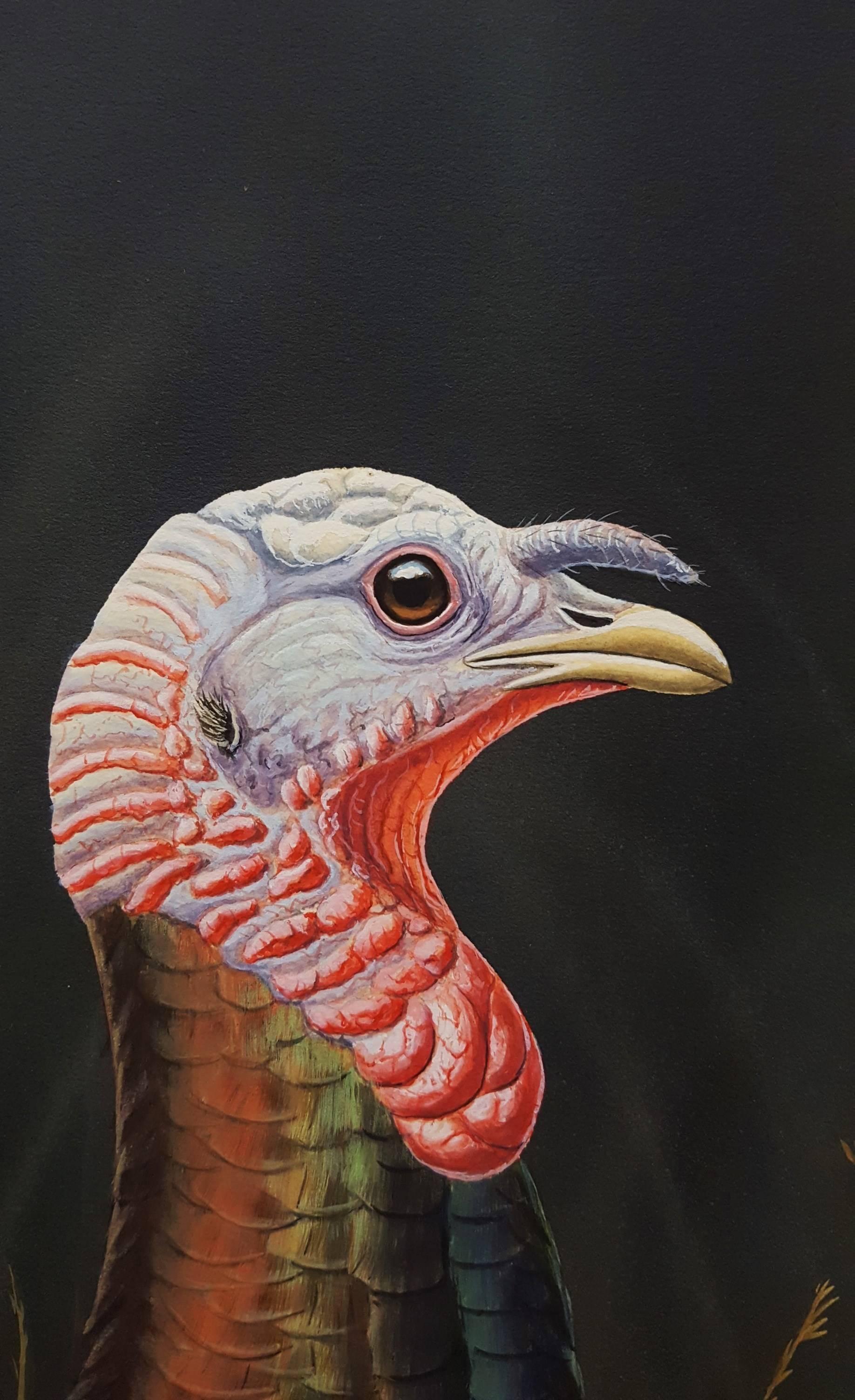 wild turkey paintings