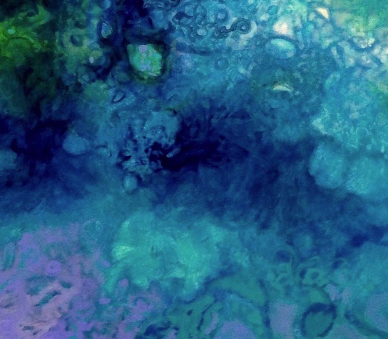 I dipinti di Ron Mills-Pinyas evidenziano ciò che la creazione è fragile, forse addirittura fragile, in un mondo di potenti esplosioni di colore e di bellissime sub-realtà molecolari. Il delicato e talvolta scoraggiante equilibrio della natura che