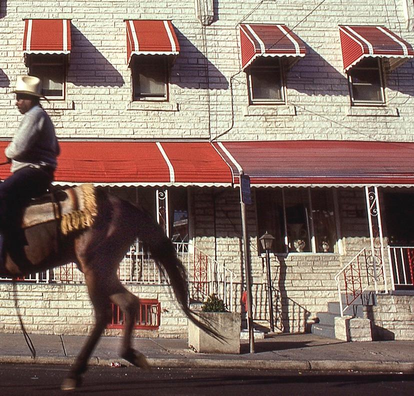 Ride By Rows: photo of Black urban cowboy in Philadelphia city - Realist Photograph by Ron Tarver