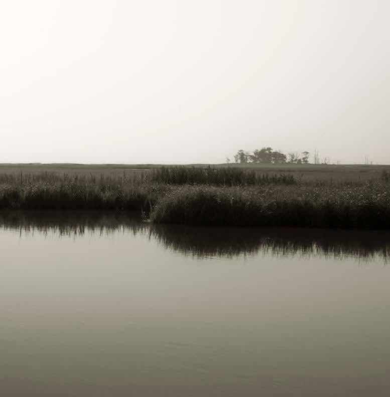 Bombay Hook Wildlife Reserve: large black & white landscape photograph w/ sepia - Photograph by Ron Tarver