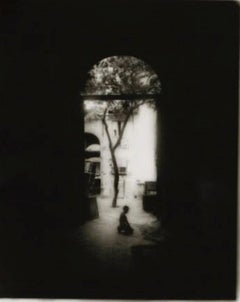 Jeune garçon agenouillé : photo en noir et blanc de La Havane, Cuba avec un arbre dans une porte voûtée
