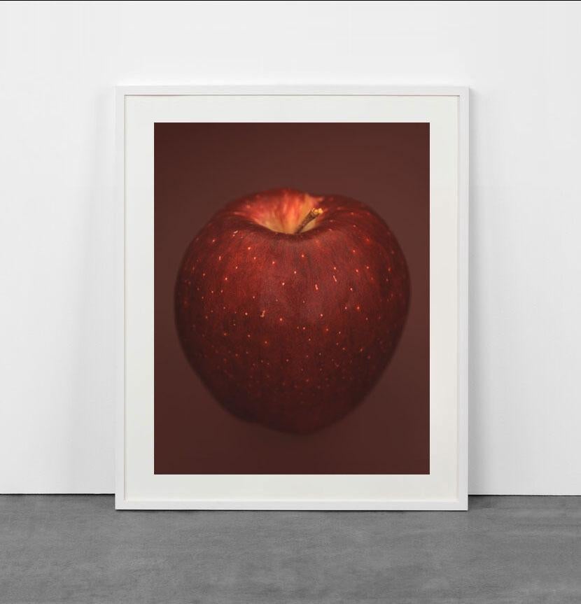 Red Apple - Photograph by Ron van Dongen