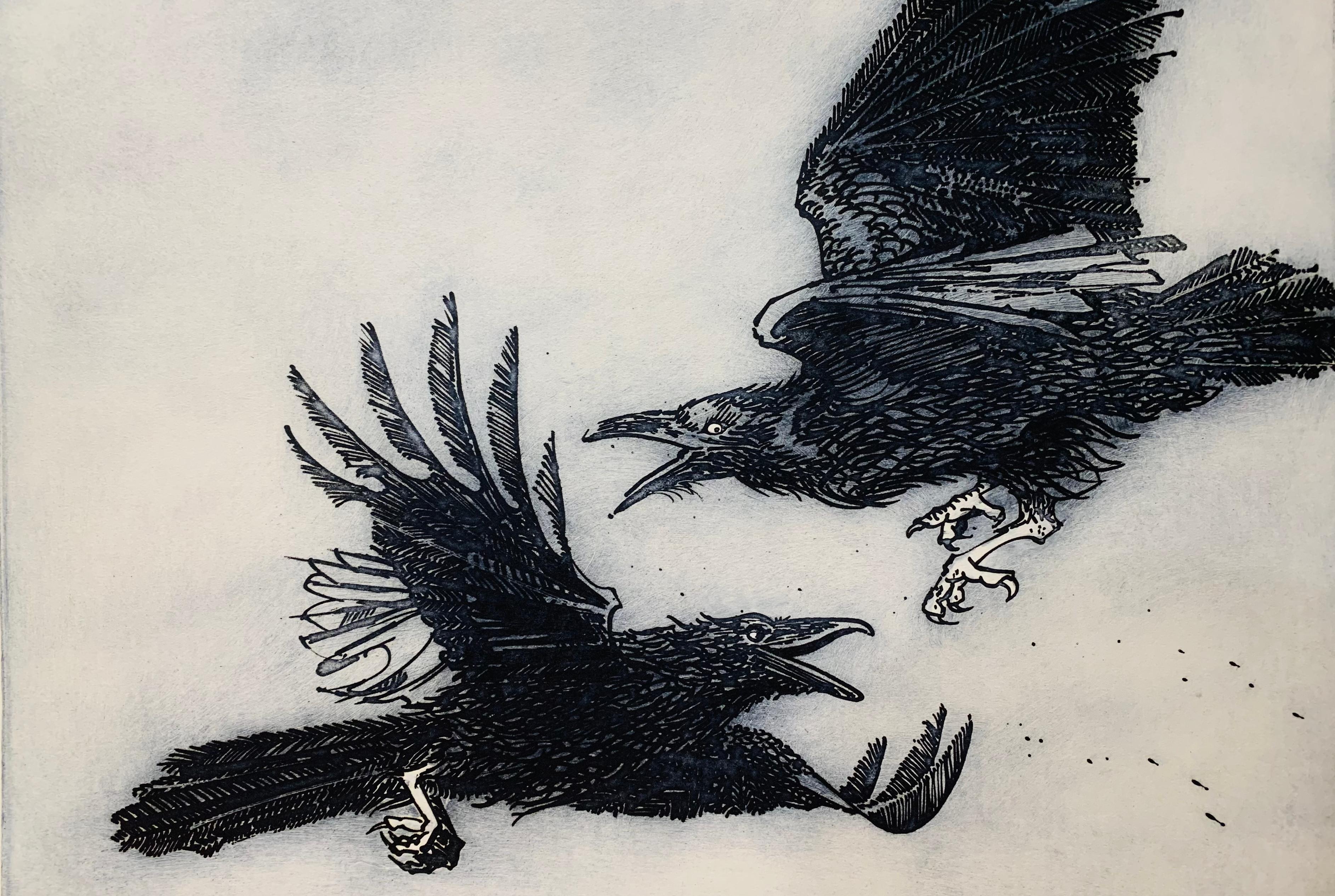 Portefeuille de 7 gravures sur corbeau - Print de Ronald Baird