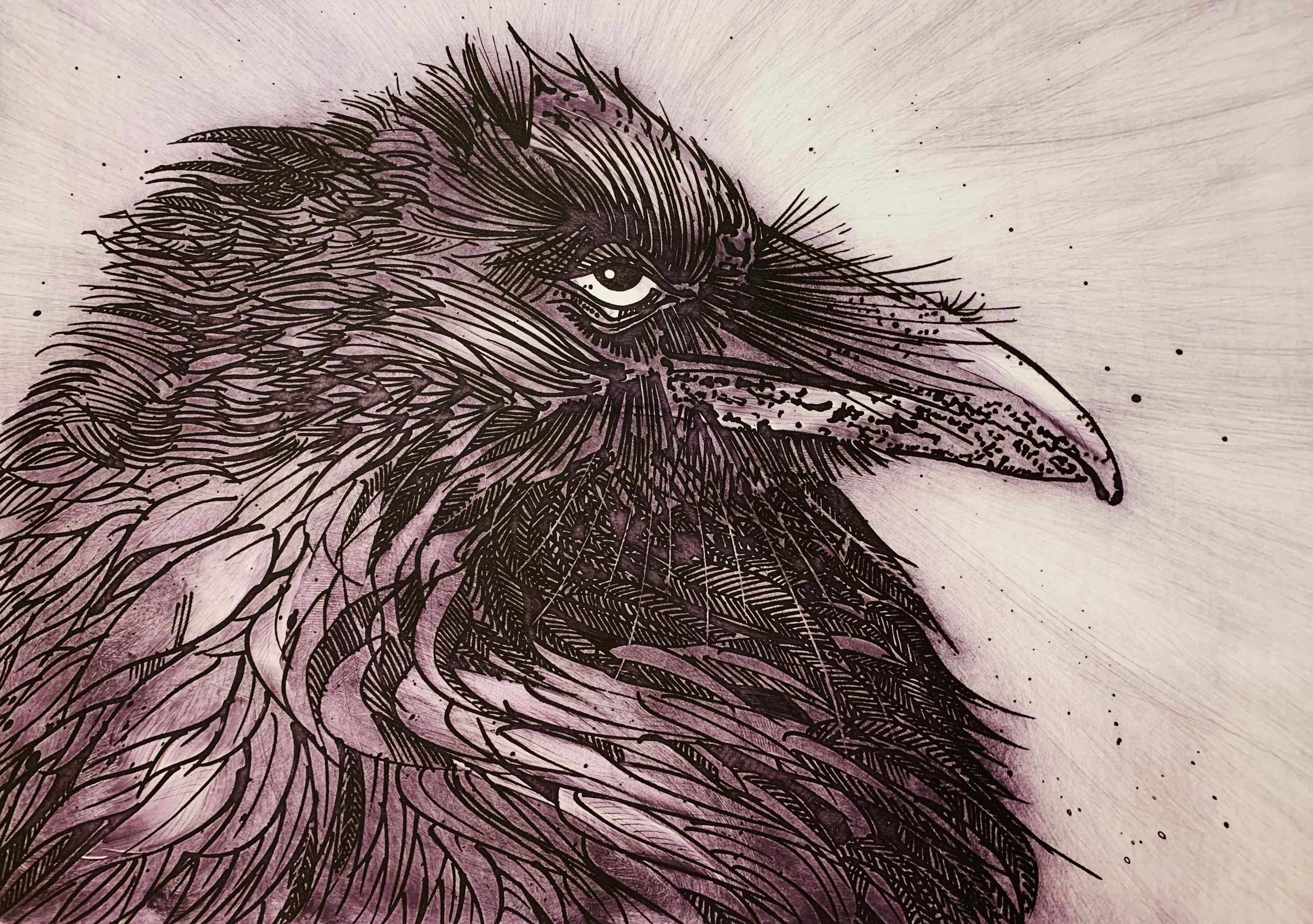 Portefeuille de 7 gravures sur corbeau - Gris Animal Print par Ronald Baird