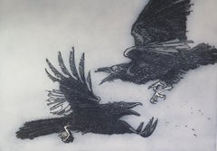Portfolio Set of 7 Raven Etchings