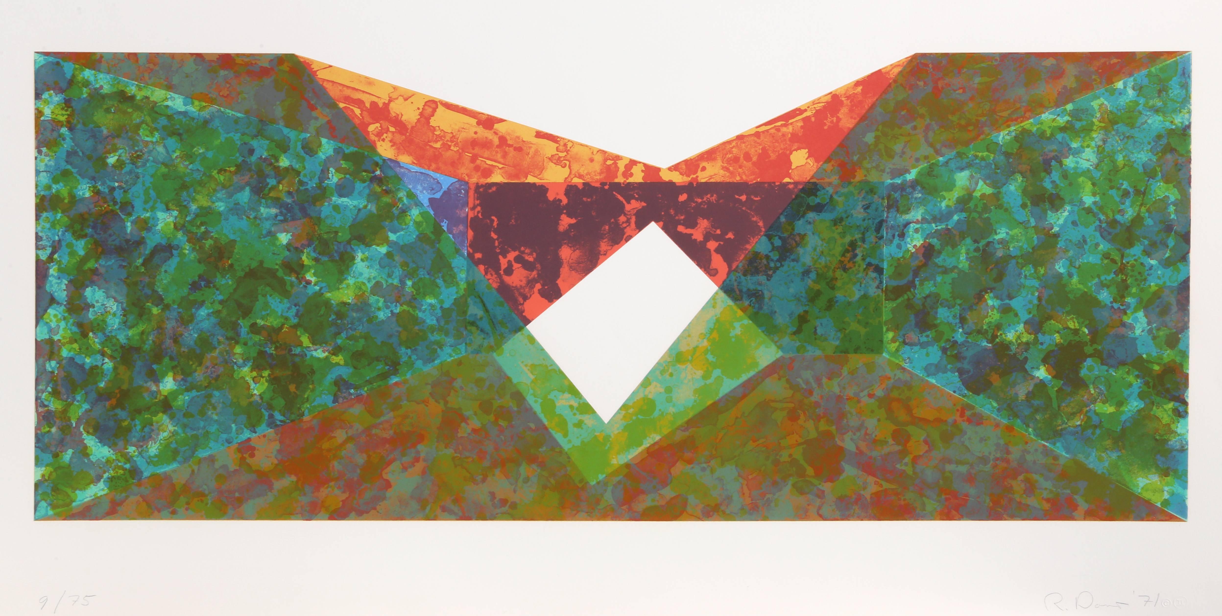 Artista: Ronald Davis, estadounidense (1937 - )
Título Rebanada triangular
Año: 1971
Técnica: Serigrafía, firmada y numerada a lápiz
Edición: 75 
Tamaño: 46,99 cm x 111,76 cm (18,5 pulg. x 44 pulg.)
