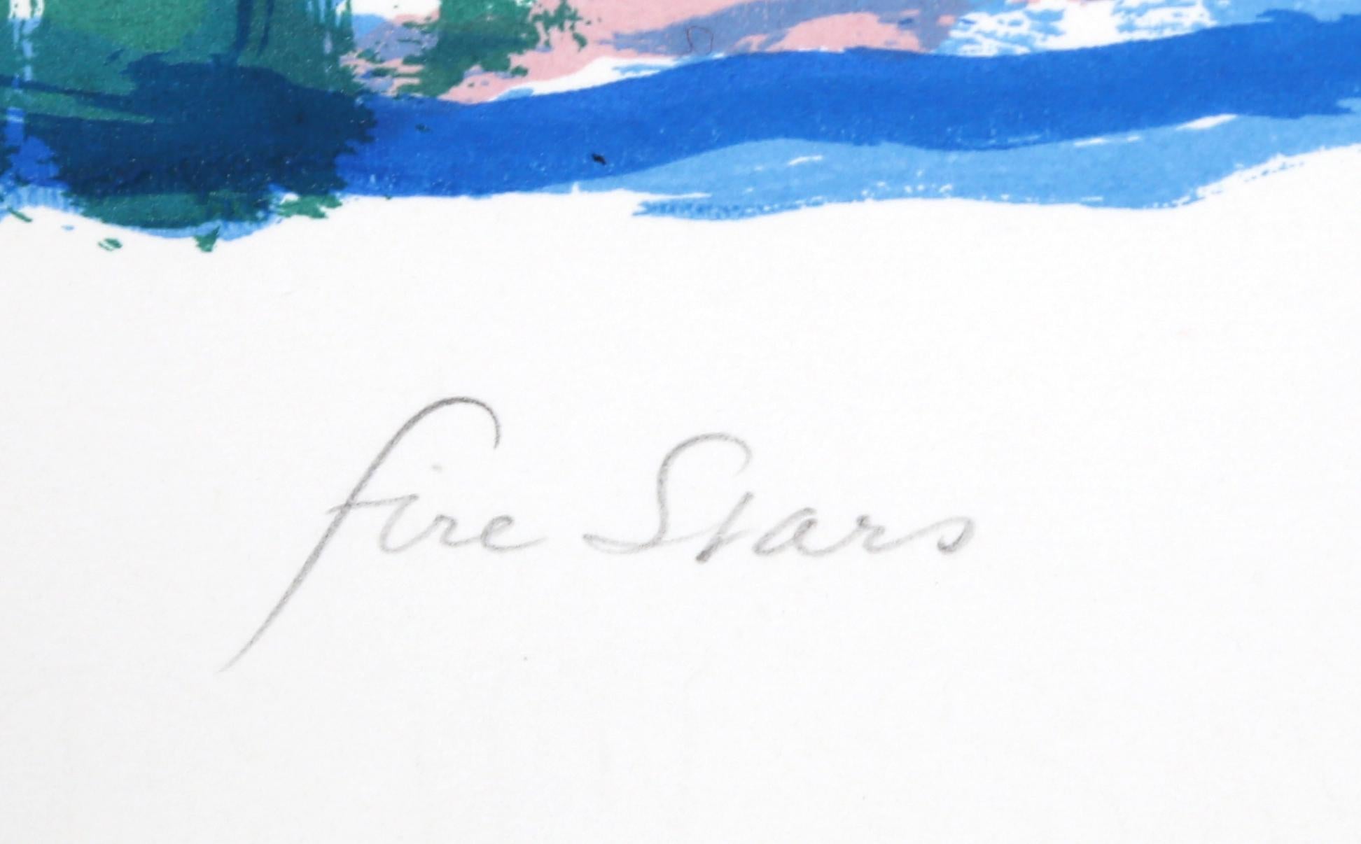Stelle di fuoco, litografia astratta firmata da Ronald Julius Christensen in vendita 1