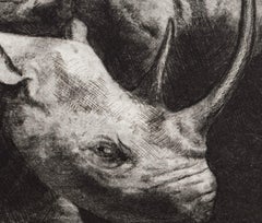 Rinoceronte e antilope-A : incisione con animali selvatici