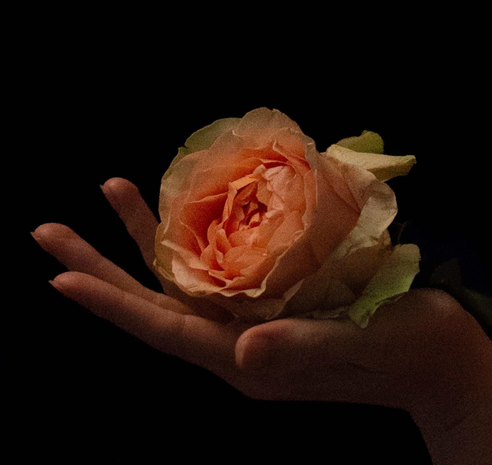 Divine Nude n°39 de Ronald Martinez, photographie d'art, Renaissance, femme en vente 2