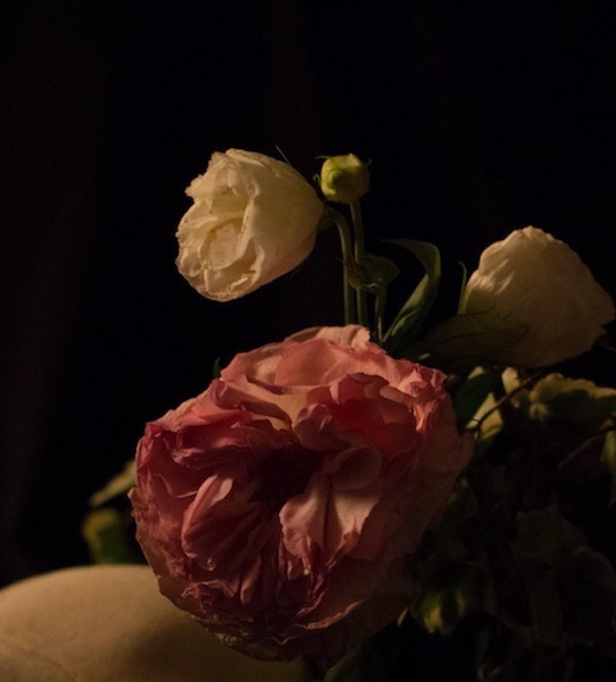 Omnia Vanitas No.2 de Ronald Martinez - Photographie d'art, nature morte, crâne en vente 2