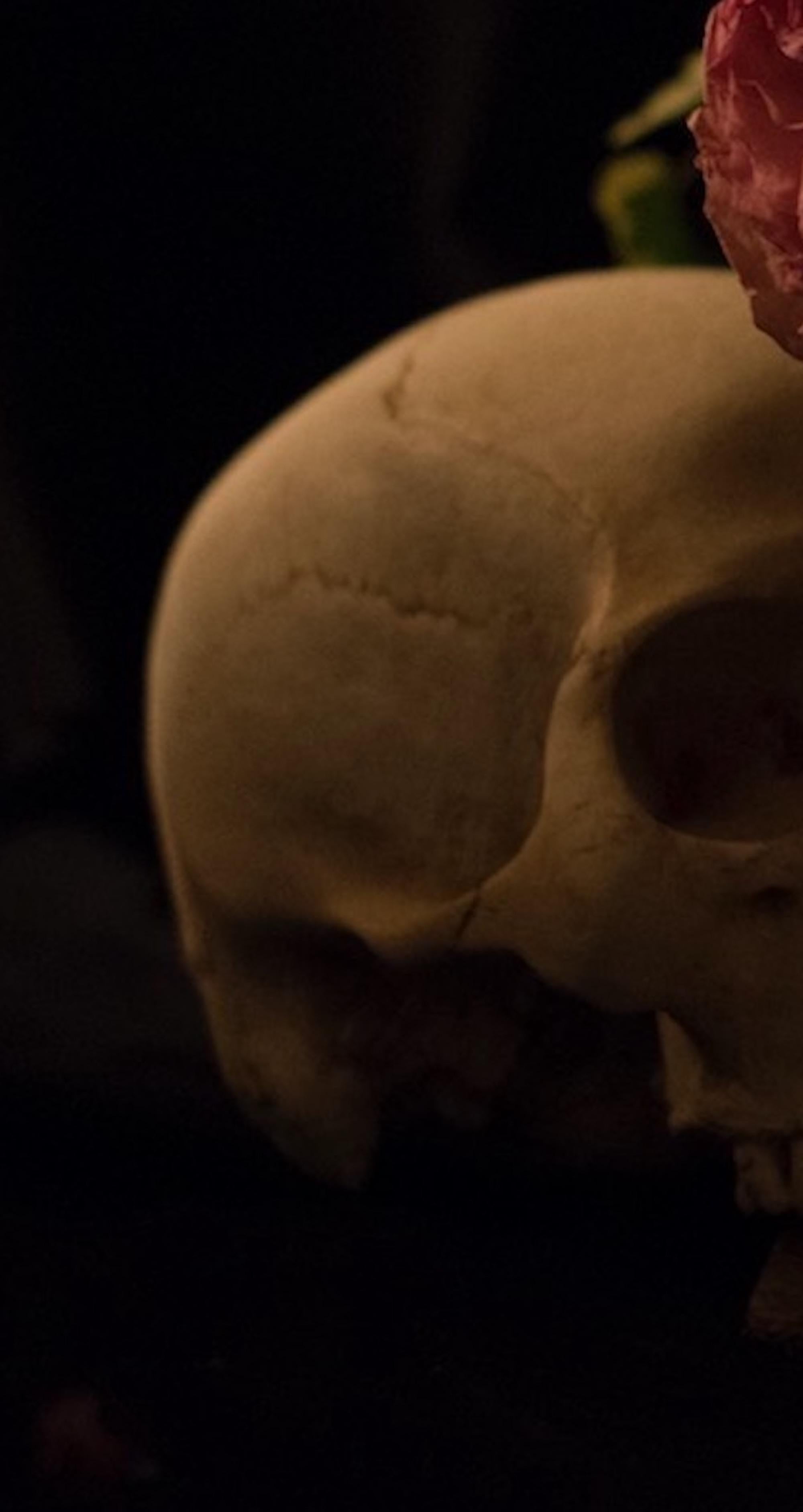 Omnia Vanitas No.2 de Ronald Martinez - Photographie d'art, nature morte, crâne en vente 3