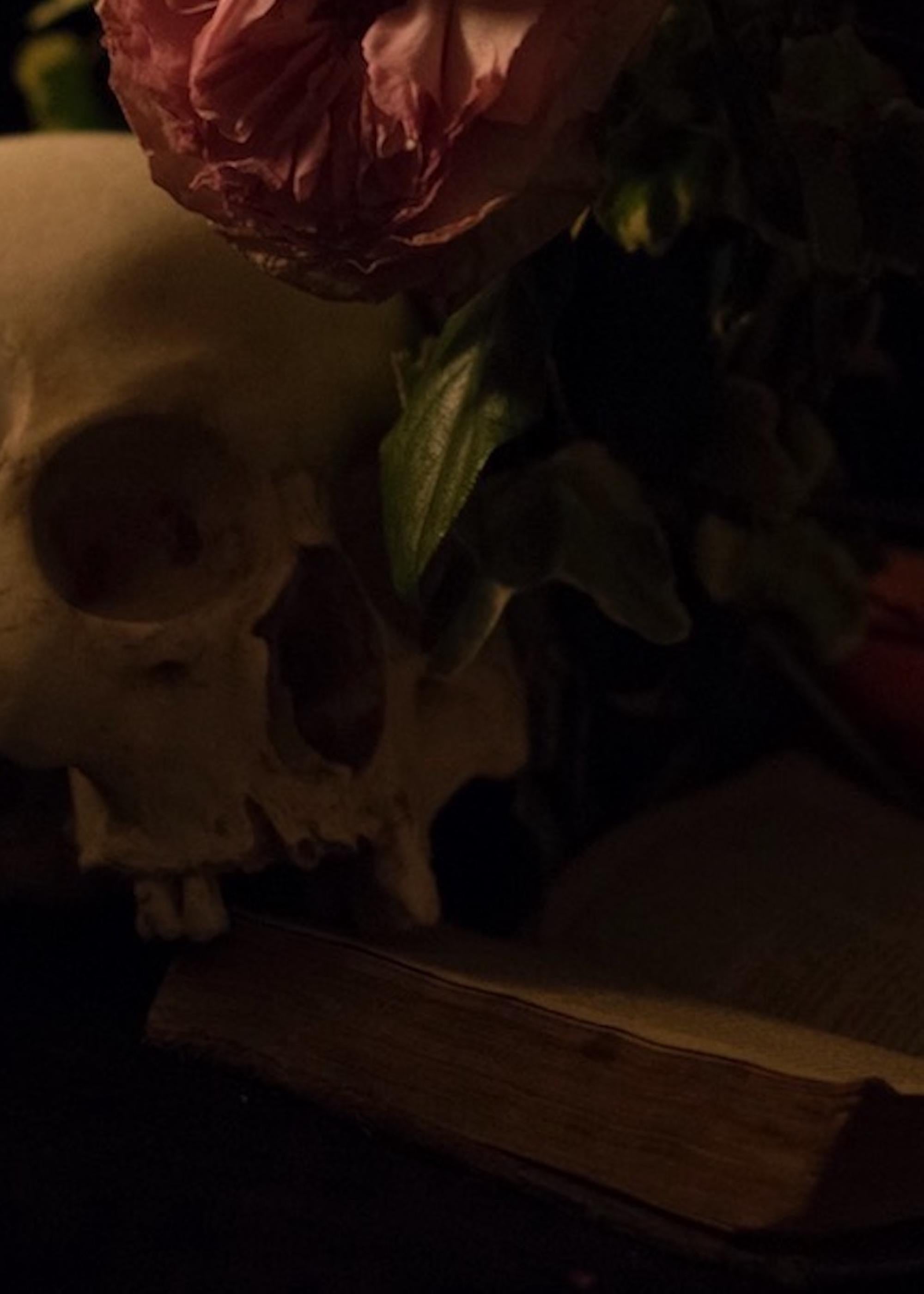 Omnia Vanitas No.2 de Ronald Martinez - Photographie d'art, nature morte, crâne en vente 4