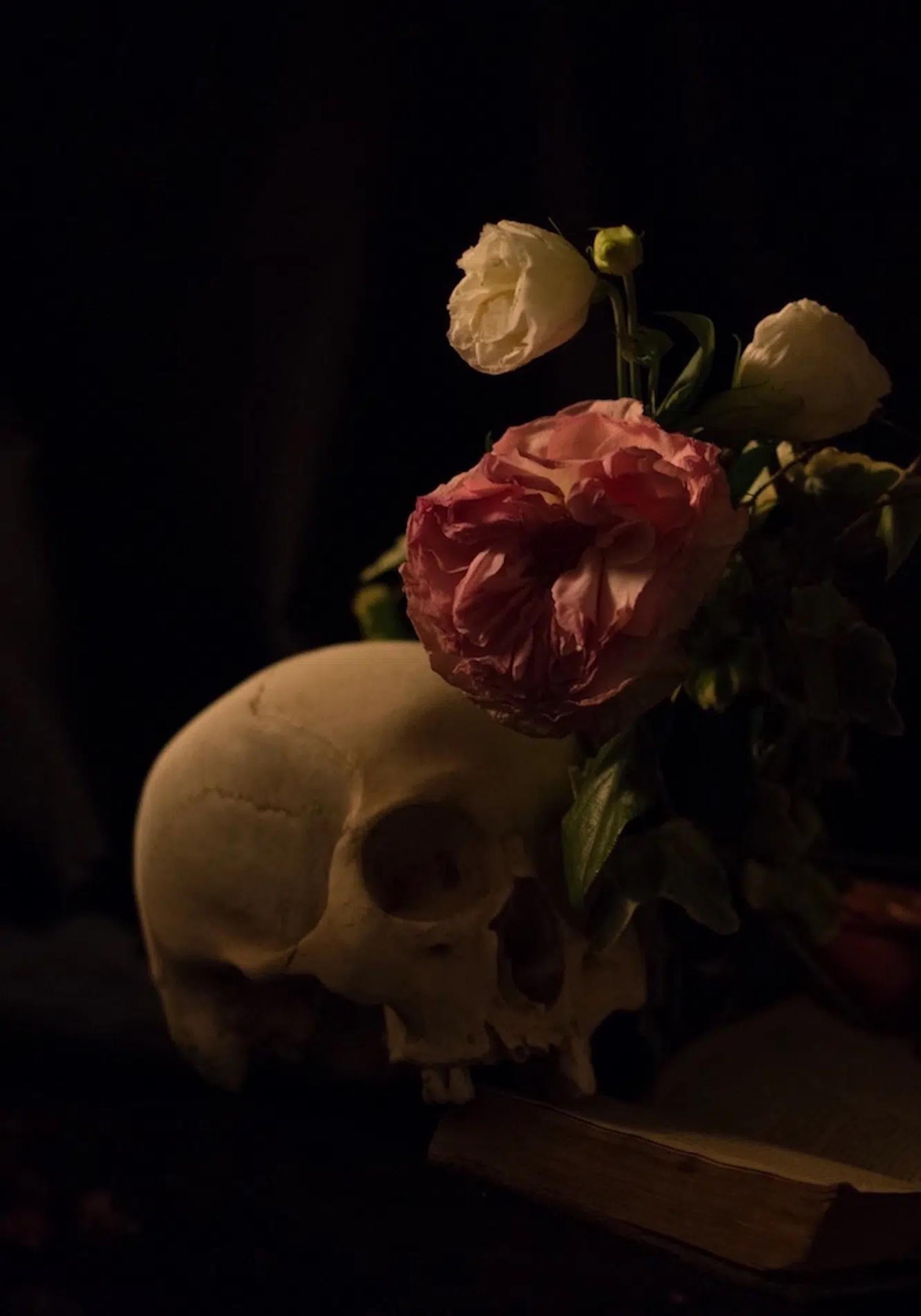 Omnia Vanitas No.2 de Ronald Martinez - Photographie d
art, nature morte, crâne