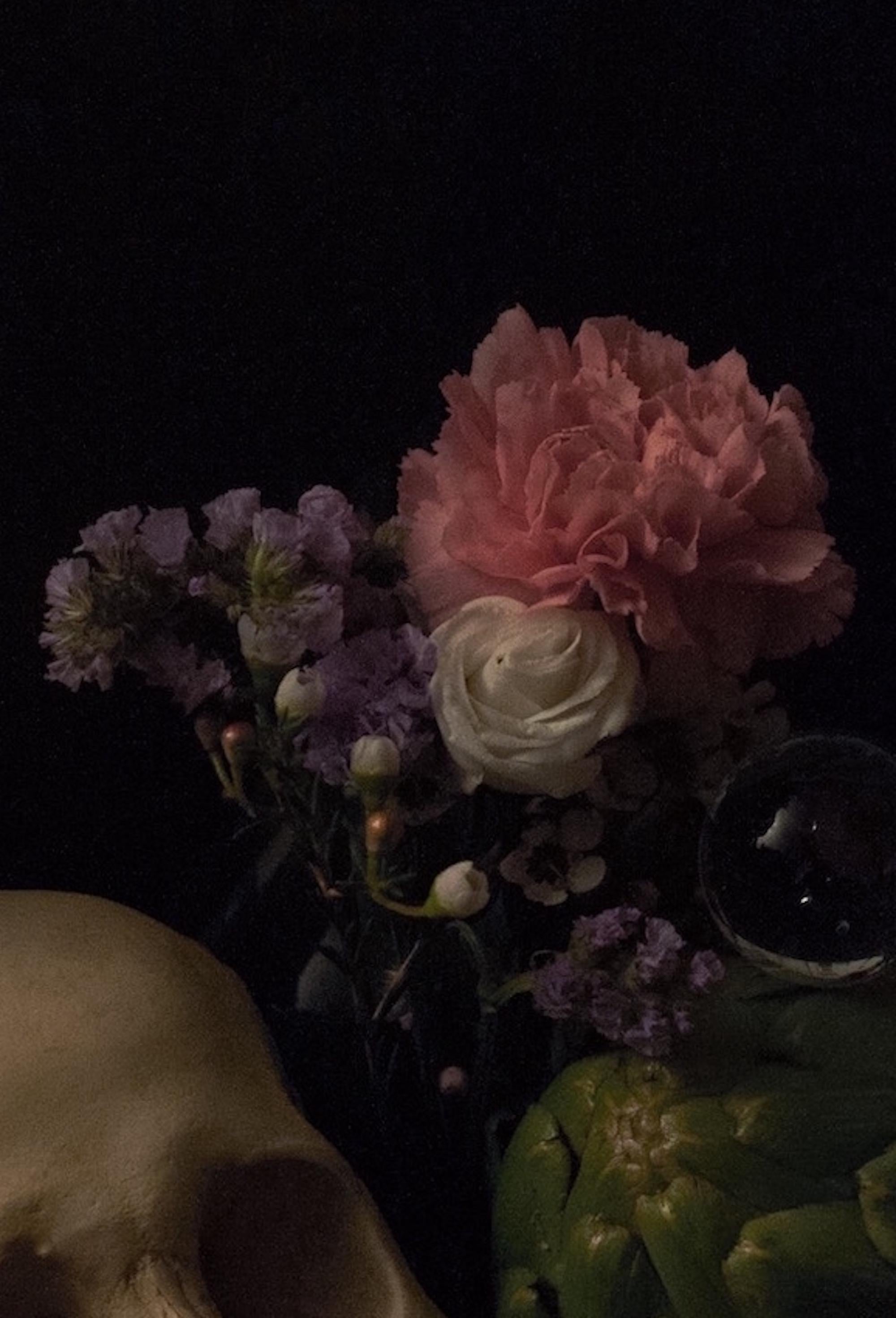 Omnia Vanitas No.6 de Ronald Martinez - Photographie d'art, nature morte, crâne en vente 2