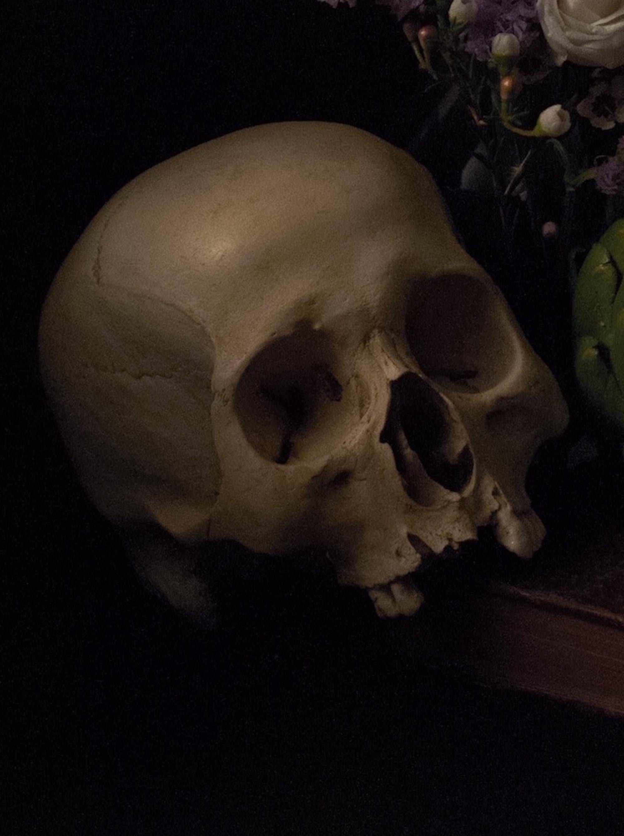 Omnia Vanitas No.6 de Ronald Martinez - Photographie d'art, nature morte, crâne en vente 3