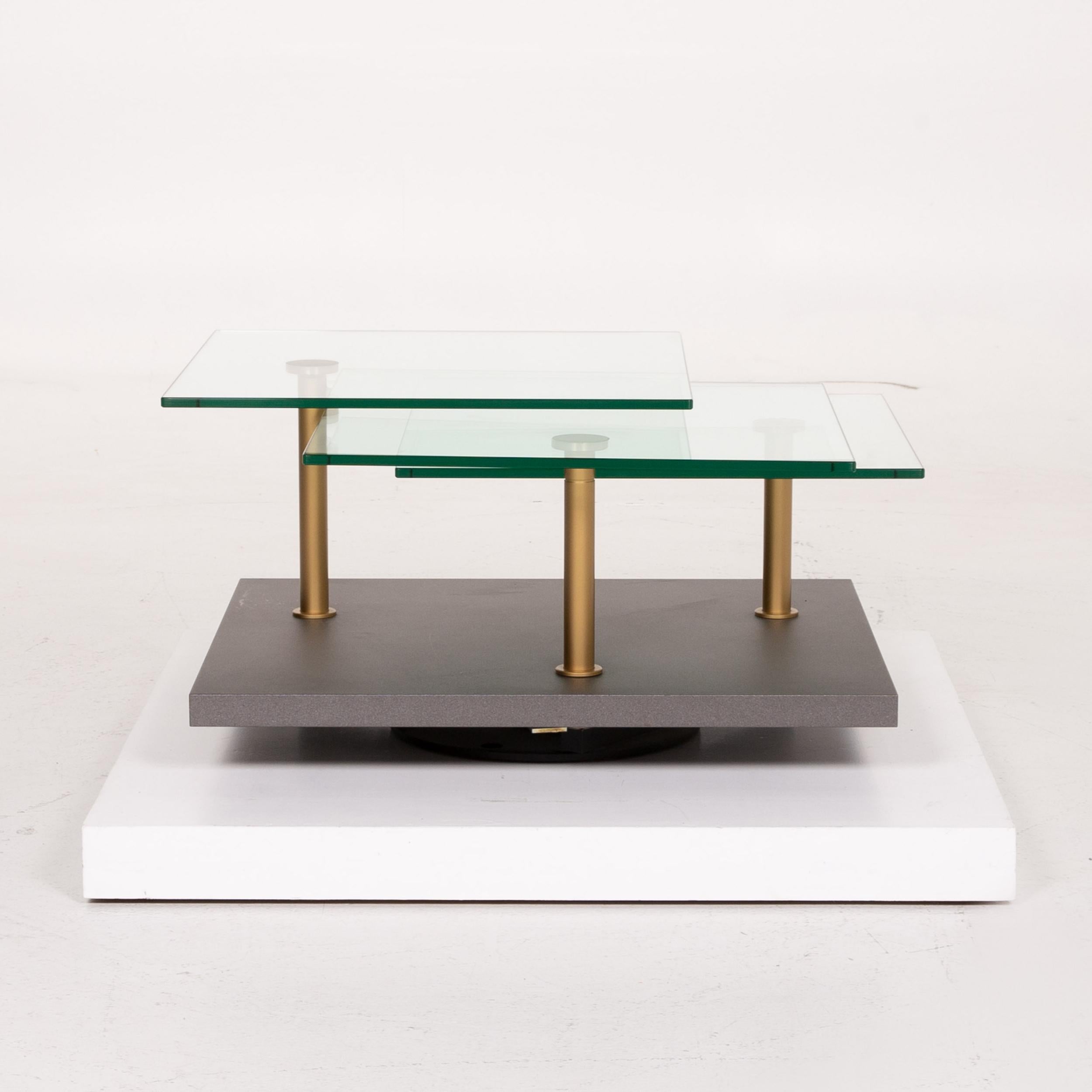 Ronald Schmitt K505 Glass Table Gray Coffee Table For Sale 4