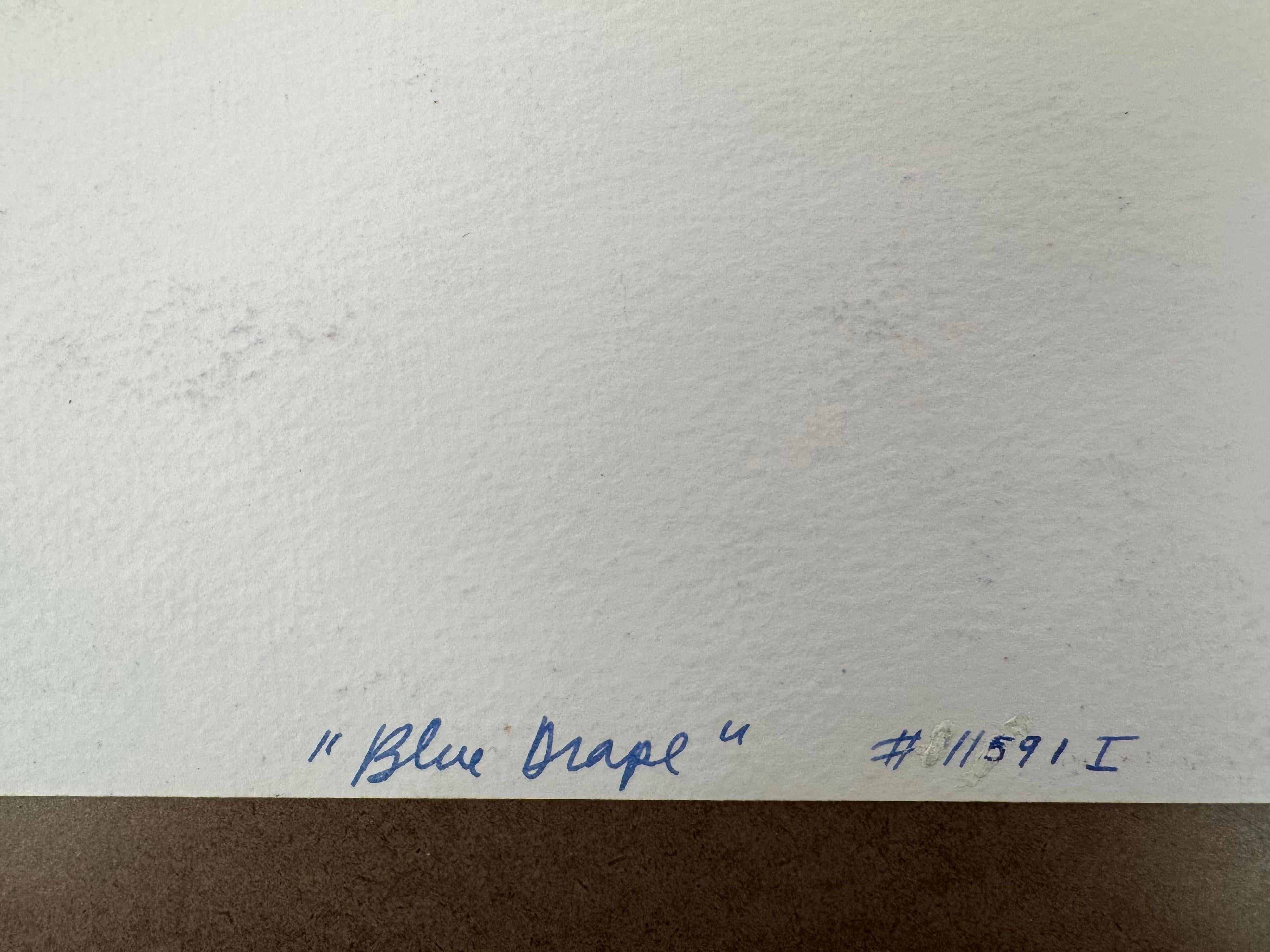 Blauer Vorhang im Angebot 2