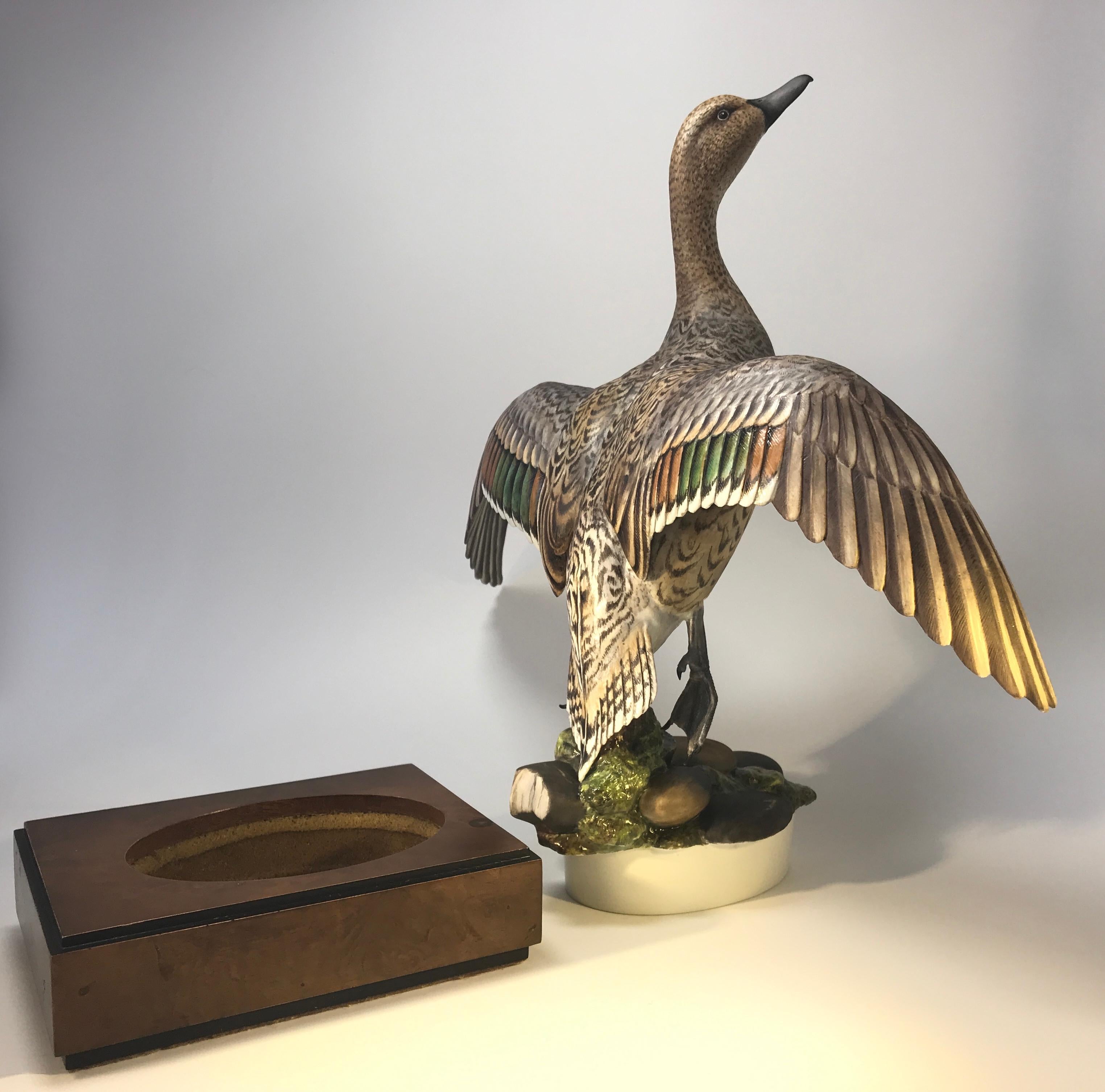 Ronald Van Ruyckevelt, Royal Worcester, Porcelain Pair of American Pintail Birds 6