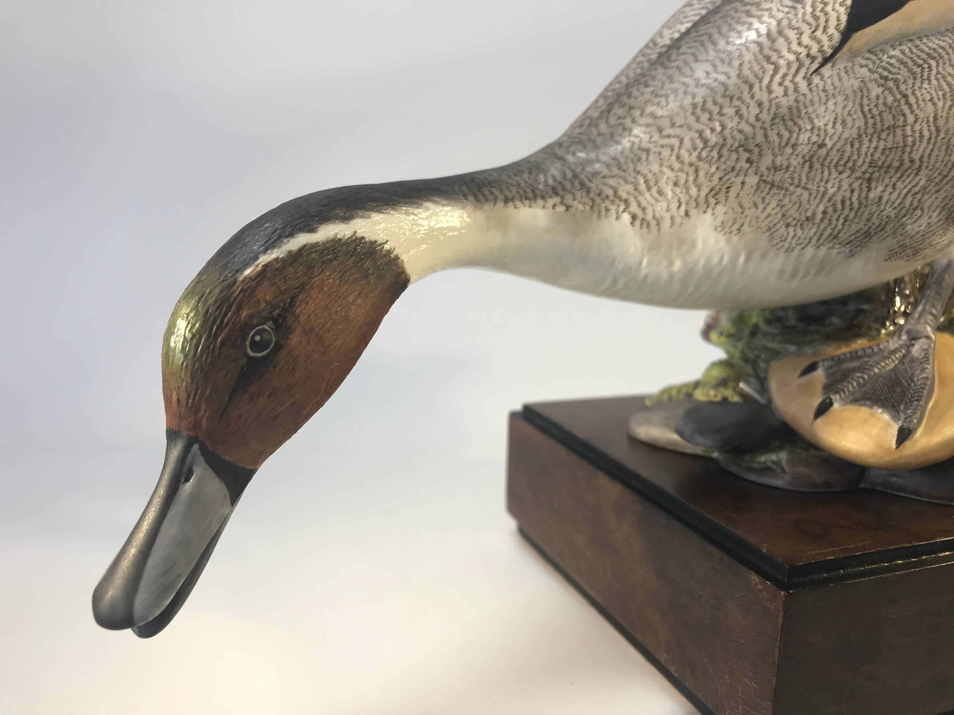 20th Century Ronald Van Ruyckevelt, Royal Worcester, Porcelain Pair of American Pintail Birds