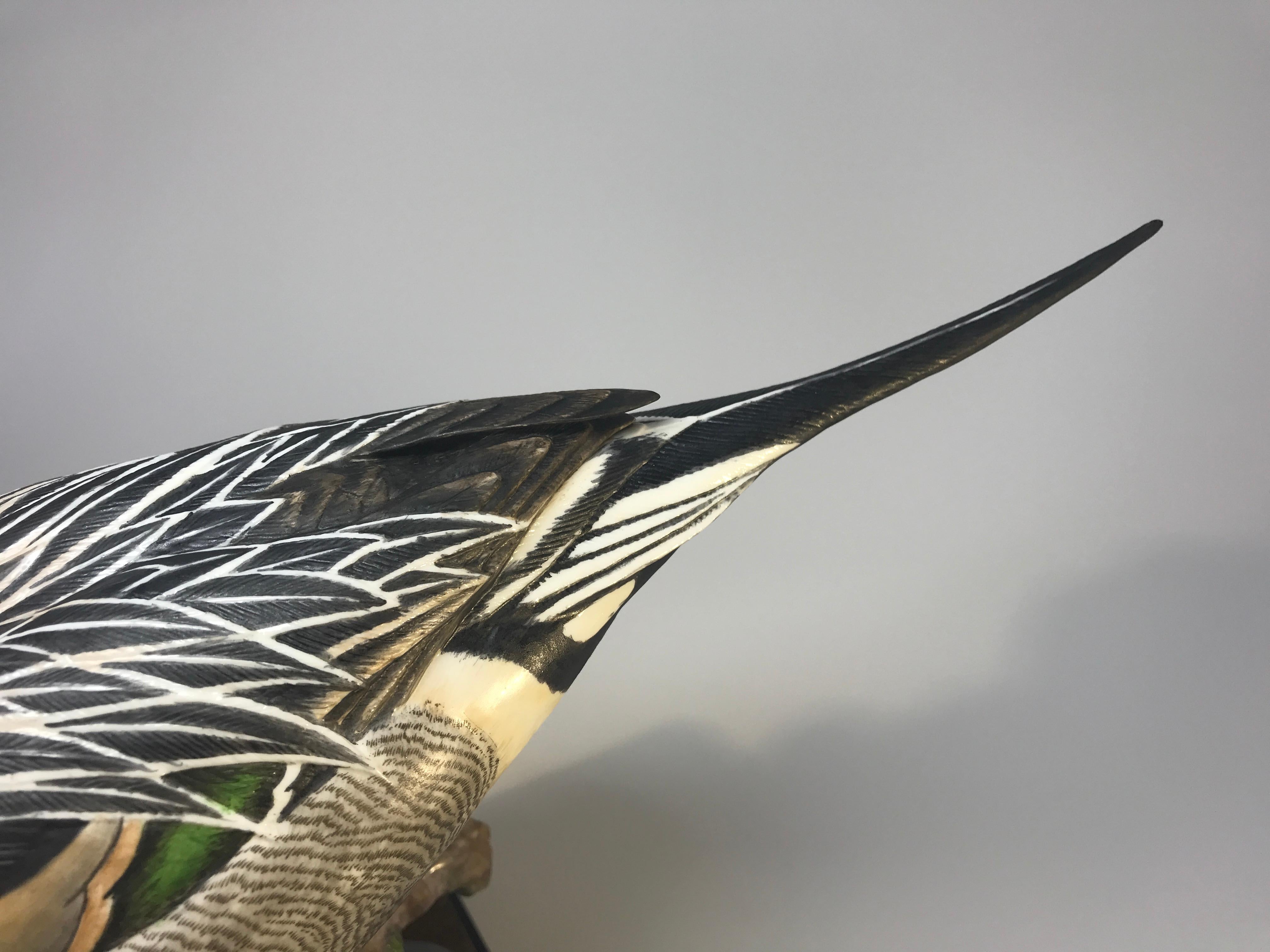 Ronald Van Ruyckevelt, Royal Worcester, Porcelain Pair of American Pintail Birds 1