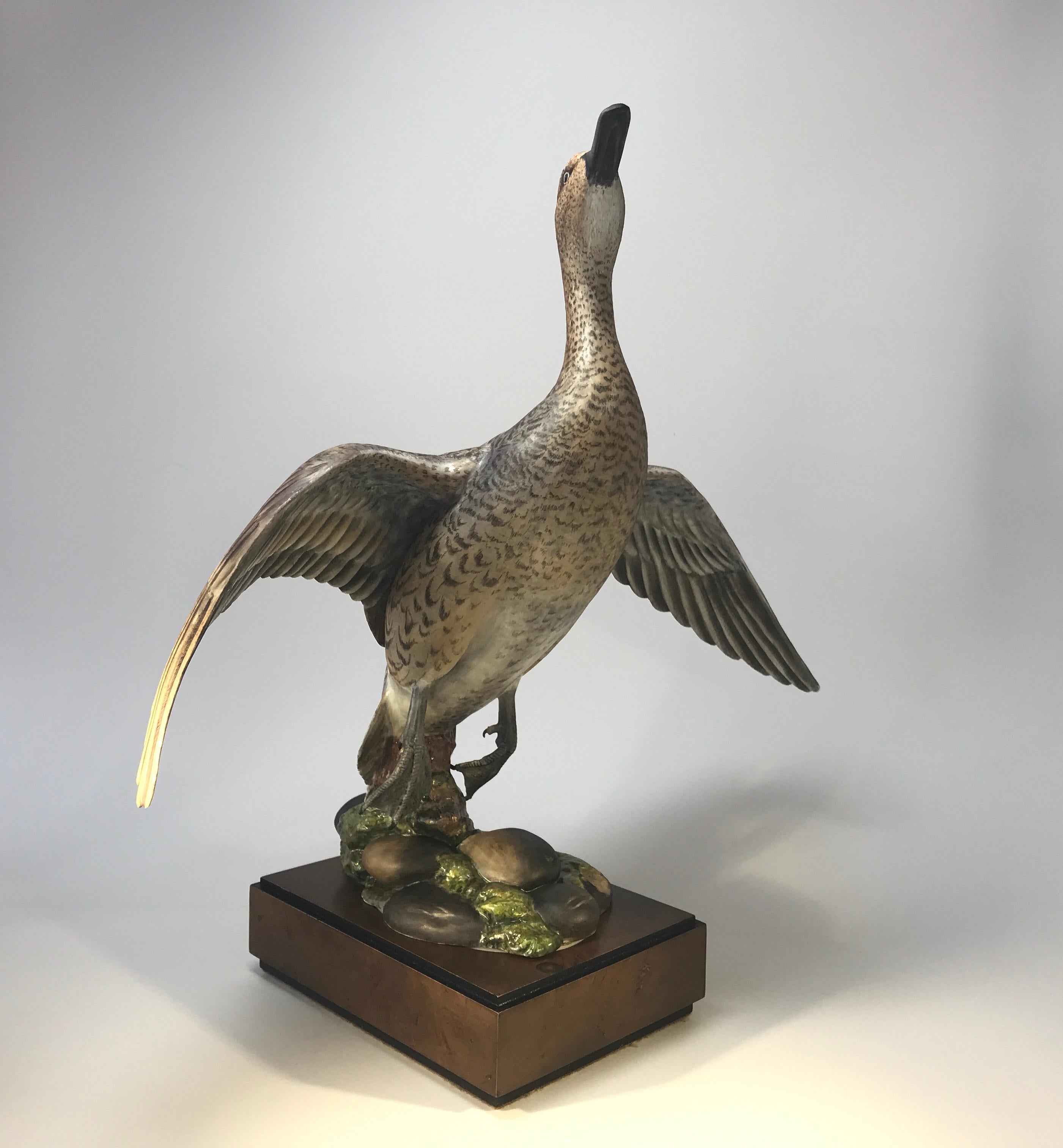 Ronald Van Ruyckevelt, Royal Worcester, Porcelain Pair of American Pintail Birds 2