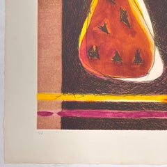 Artist Proof Argentinean hand signed limited edition original print engraving n6