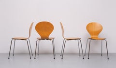 Rondo chairs in Beech plywood  Denmark  1990s