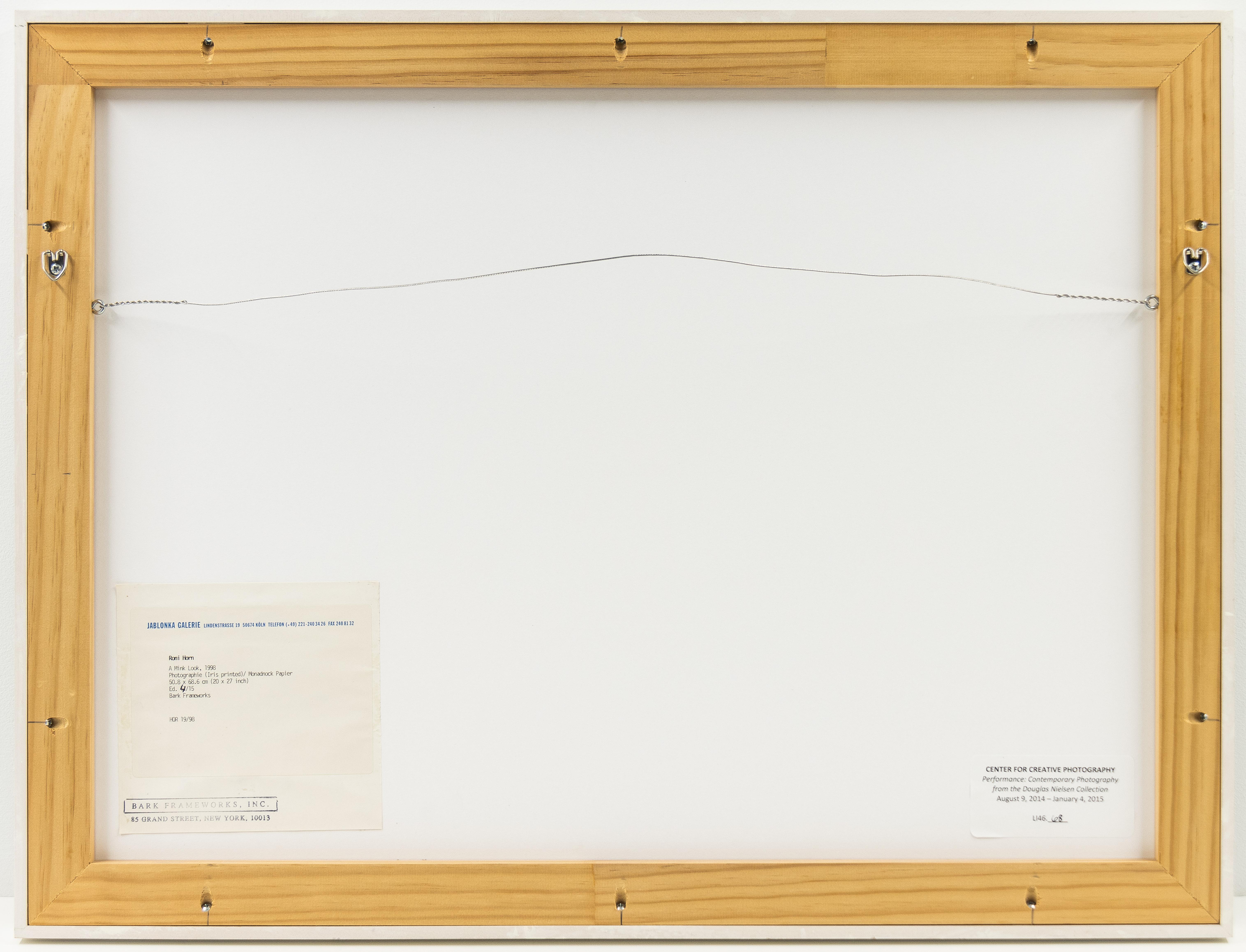 A Mink Look, Contemporary Still Life Photograph by Roni Horn im Angebot 3