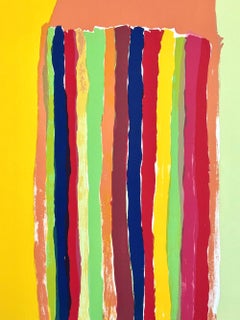 Strisce astratte I, litografia firmata 1973, stampa a colori, AP