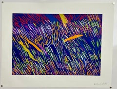 Lyrical Abstraction Screenprint Serigraph Ronnie Landfield Color Field Abstract