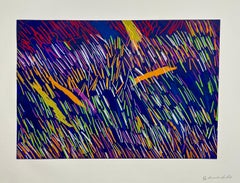 Vintage Lyrical Abstraction Screenprint Serigraph Ronnie Landfield Color Field Abstract 
