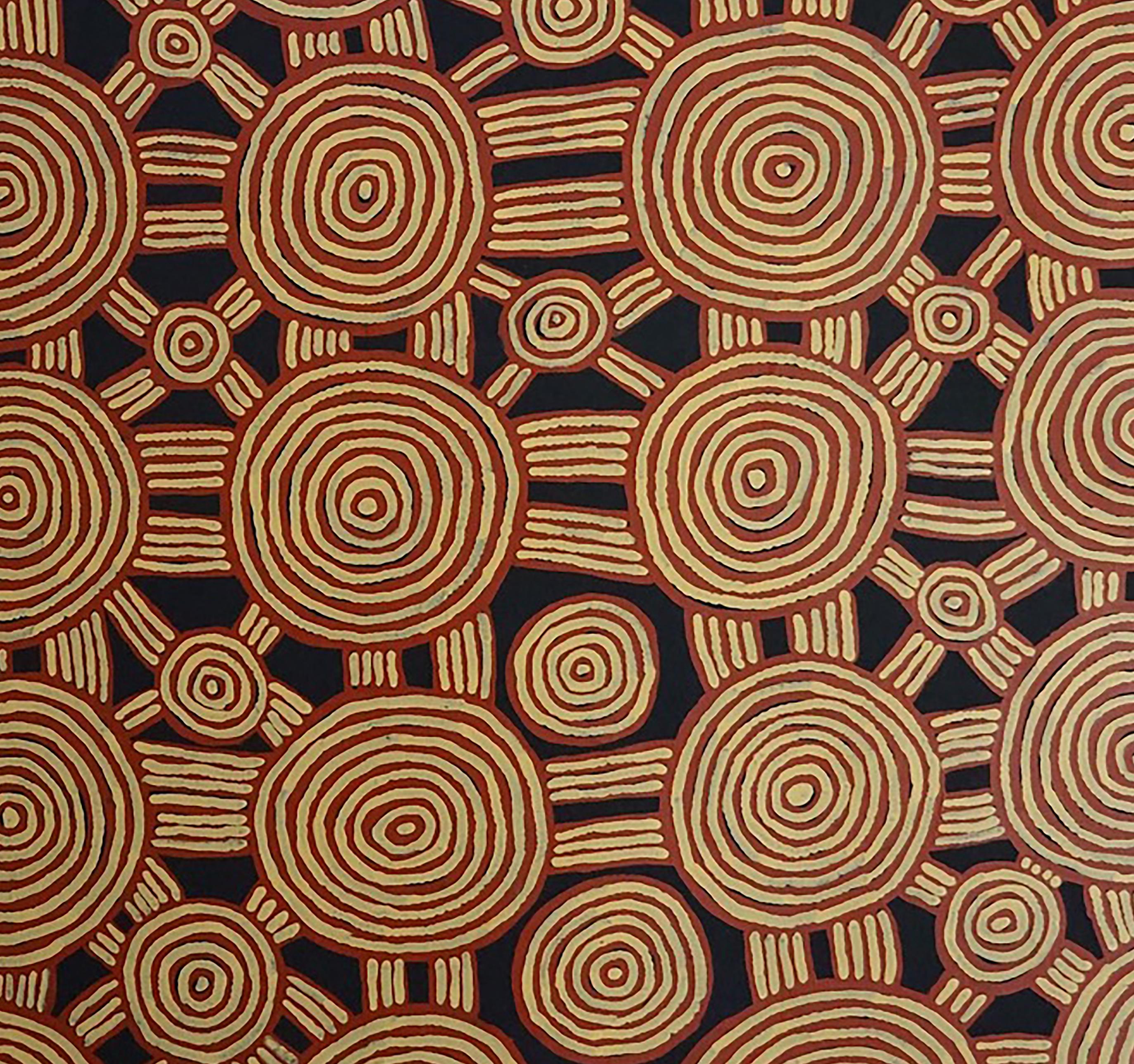 Ronnie Tjampitjinpa è nato intorno al 1943 a Tjiturrunya, a circa 100 km a ovest delle catene montuose di Kintore, nell'Australia occidentale. A seguito di una prolungata siccità negli anni '50, la famiglia di Ronnie si trasferì a Haasts Bluff e poi
