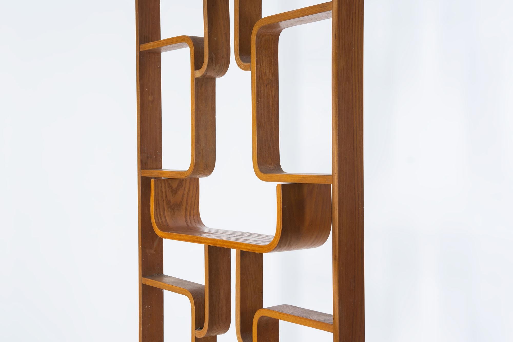 Mid-Century Modern Room Divider by Ludvik Volak for Drevopodnik Holesov For Sale