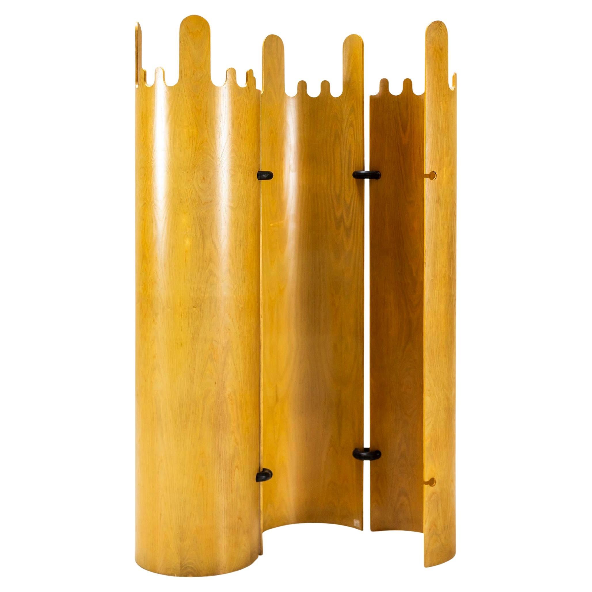 Room Divider, Coatrack, Model “Tegolo” by Giovanni Offredi, Italy 1970