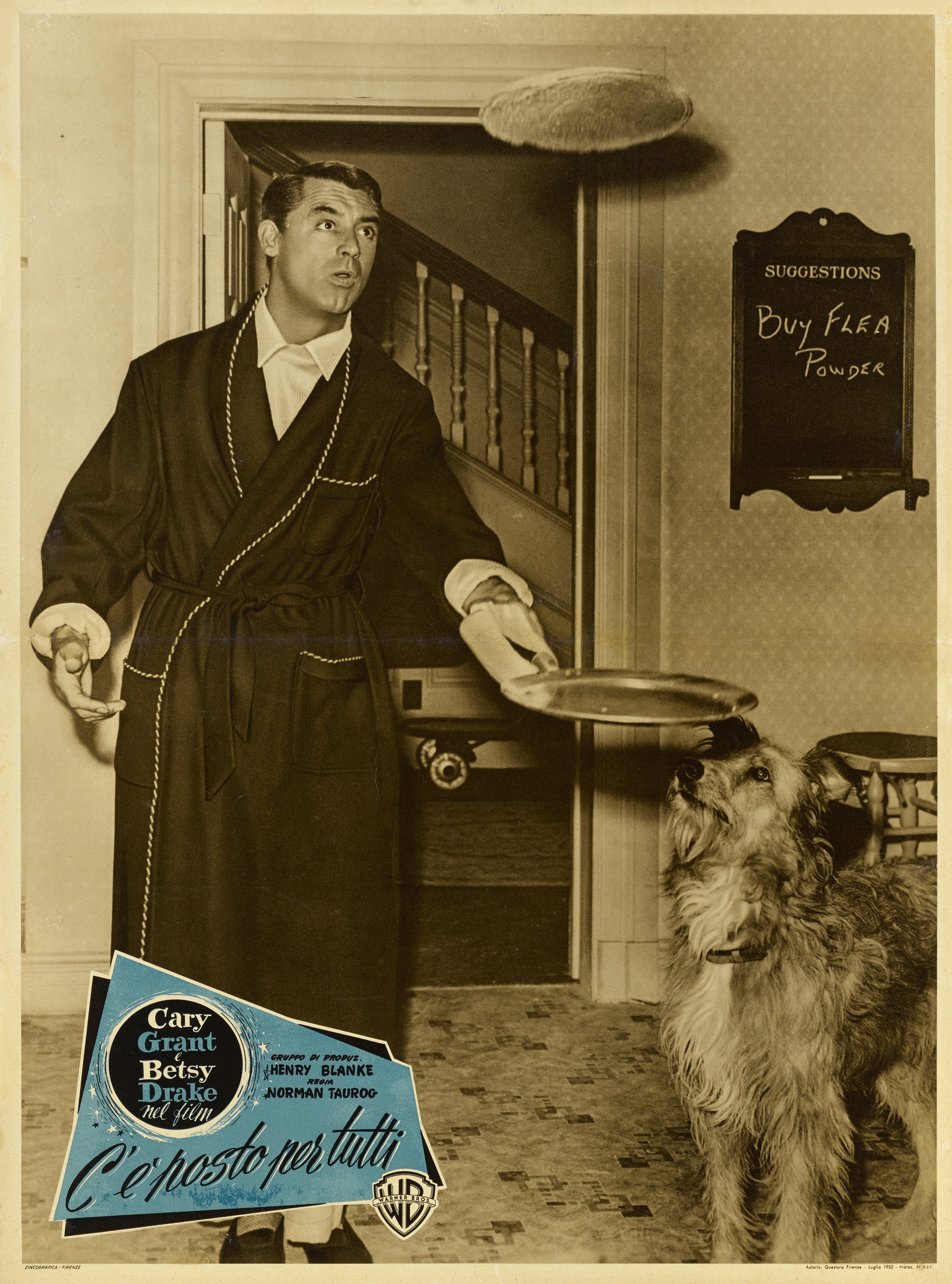 Originales italienisches Filmplakat für Room for One More 1952.

Diese Komödie wurde von Norman Taurog inszeniert und mit Cary Grant und Betsy Drake in den Hauptrollen gedreht.
Das Plakat ist in ausgezeichnetem Zustand, mit nur einer kleinen