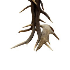 Roosevelt Elk and Moose Antler Floor Lamp