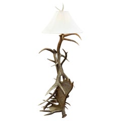 Roosevelt Elk and Moose Antler Floor Lamp