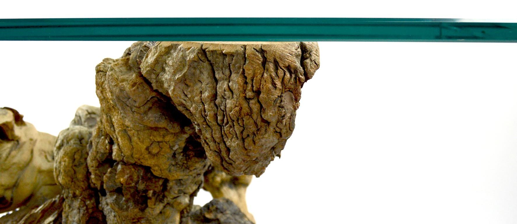 Root Burl Glass Top Console Table For Sale 5