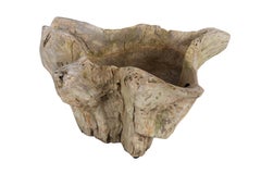 Root Wood Bowl