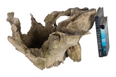 Root Wood Bowl