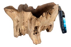 Ciotola in legno di radice