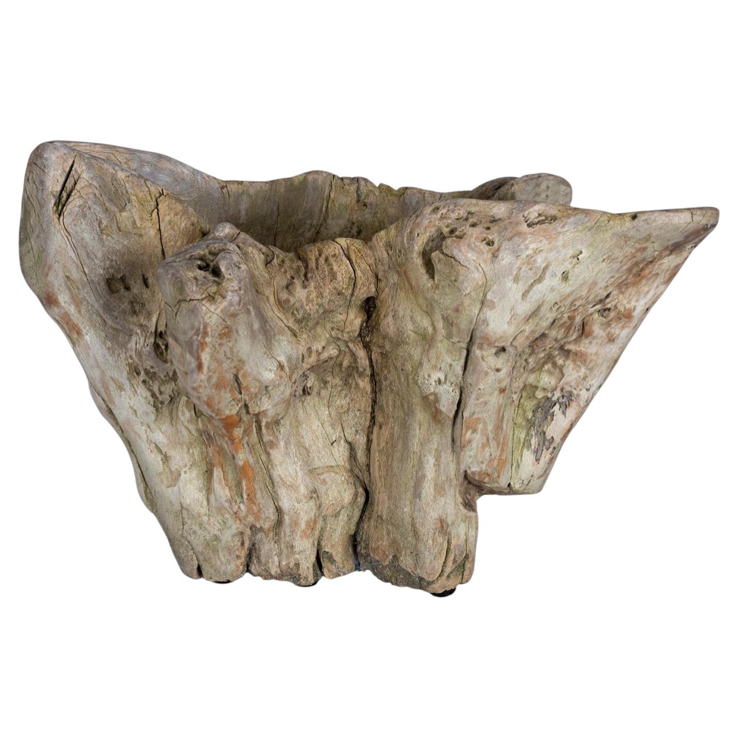 Root Wood Bowl For Sale