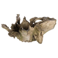 Root Wood Bowl