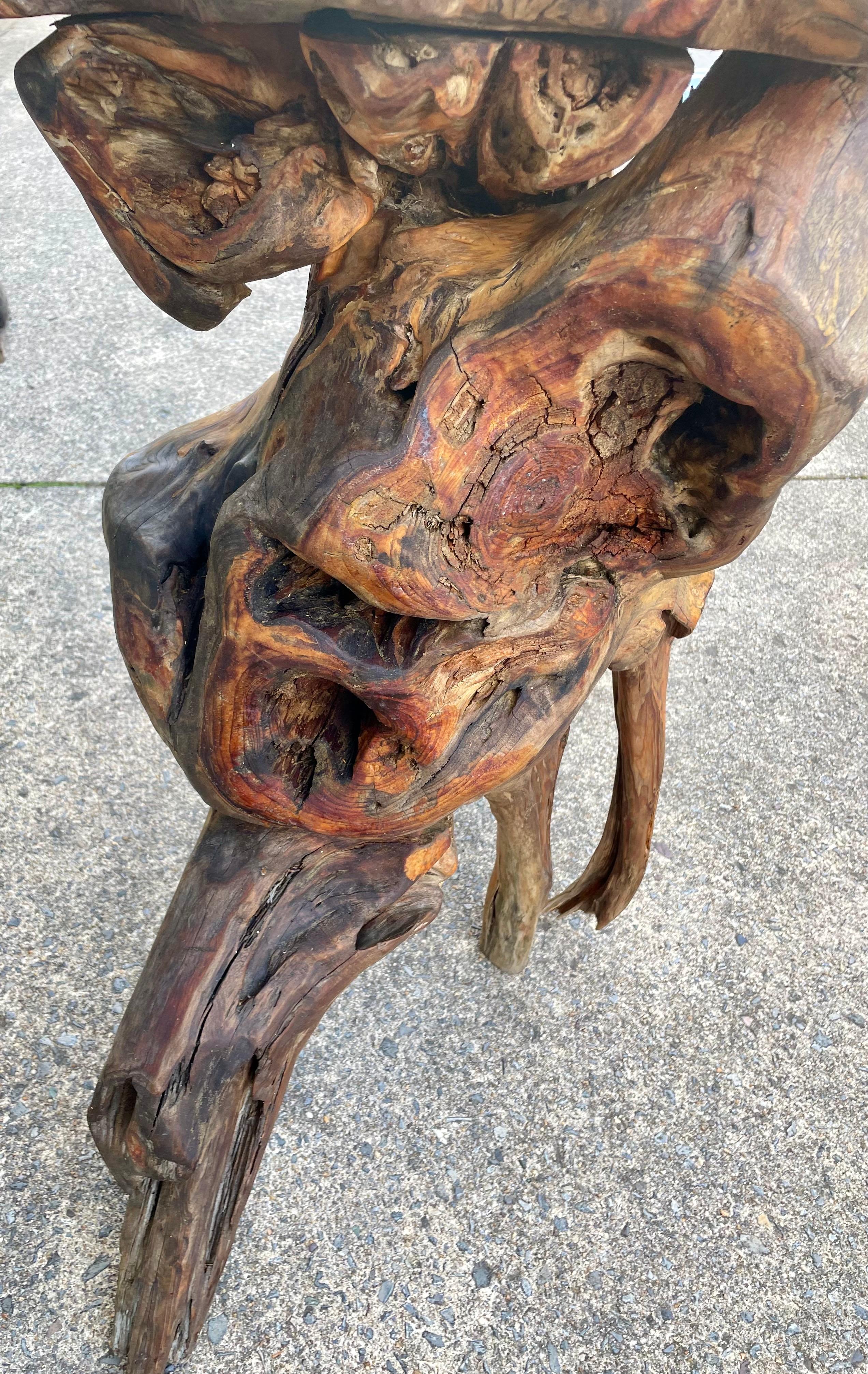 Roots Wood Burlwood Tall Stand Free Form Side Table Organic Pedestal Adirondack en vente 3
