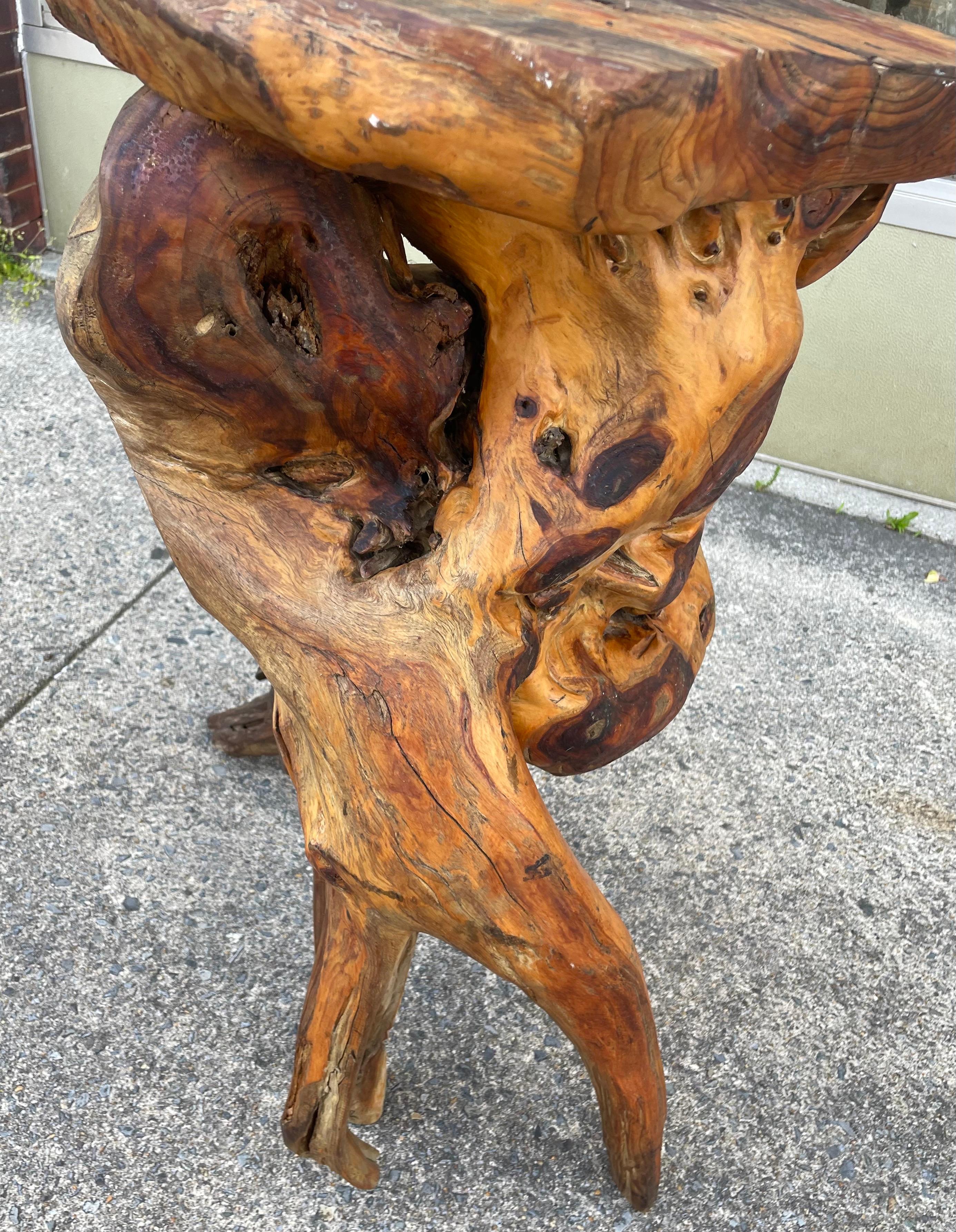 Roots Wood Burlwood Tall Stand Free Form Side Table Organic Pedestal Adirondack en vente 5