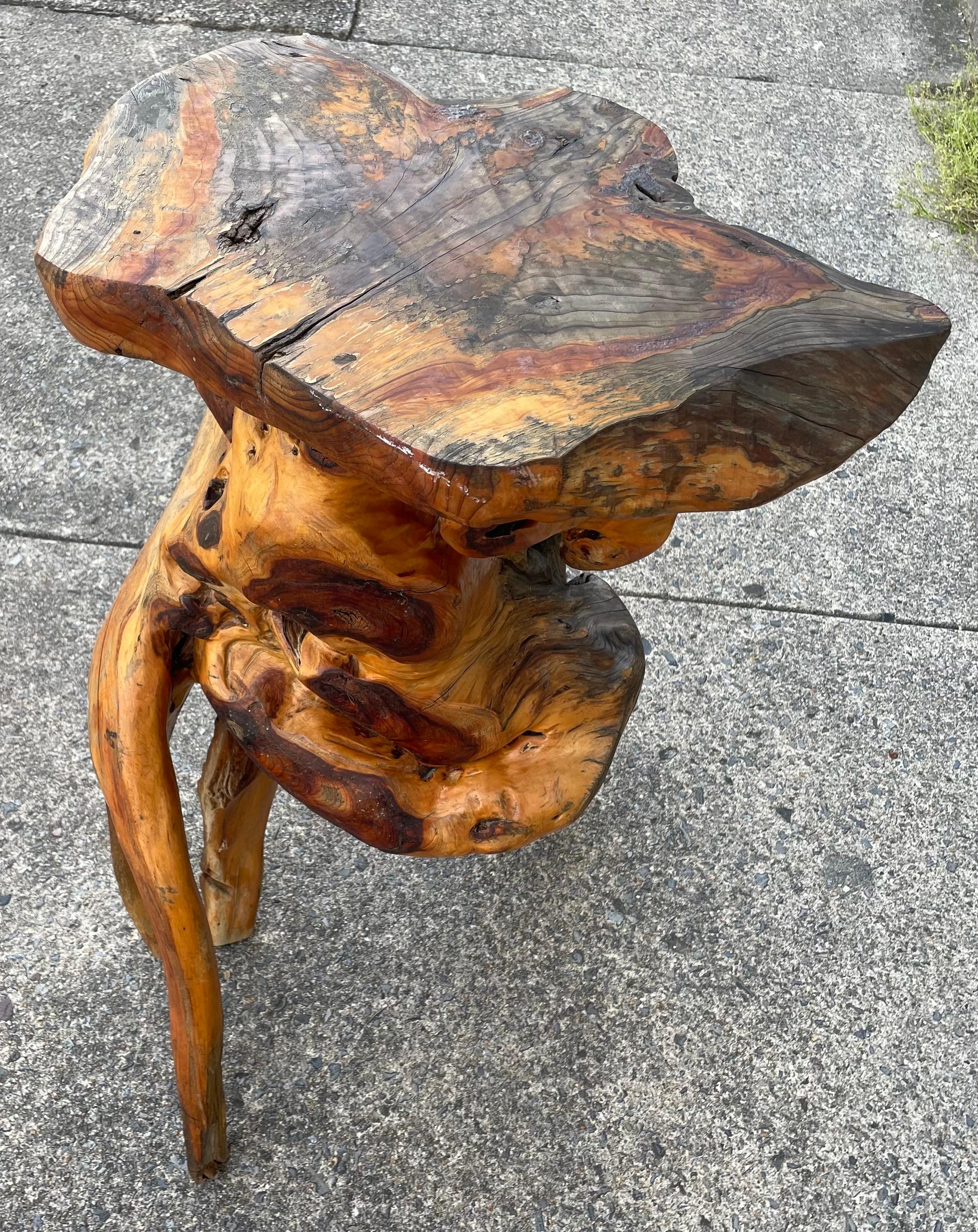Américain Roots Wood Burlwood Tall Stand Free Form Side Table Organic Pedestal Adirondack en vente